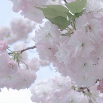 Furry插画细节提升技巧兽圈社群